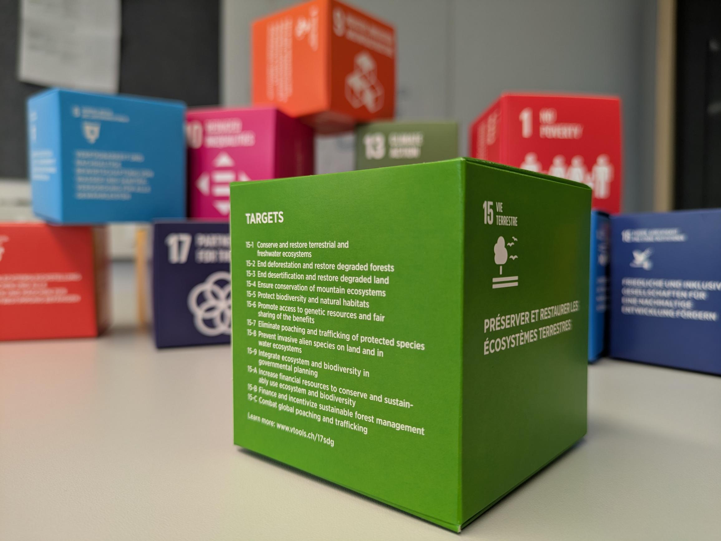 SDG-Würfel mit SDG 15 eingesoomd.