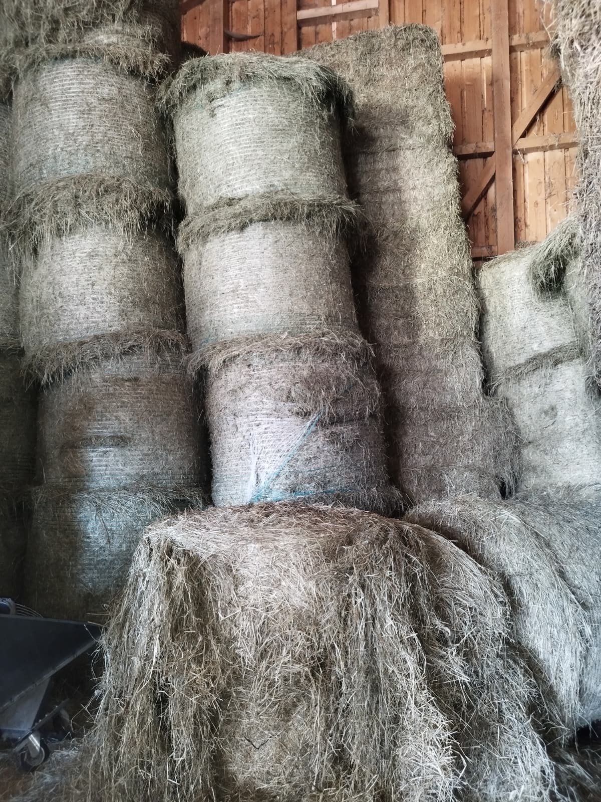 hay