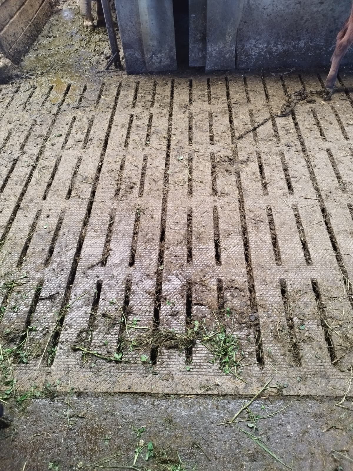 slatted floor