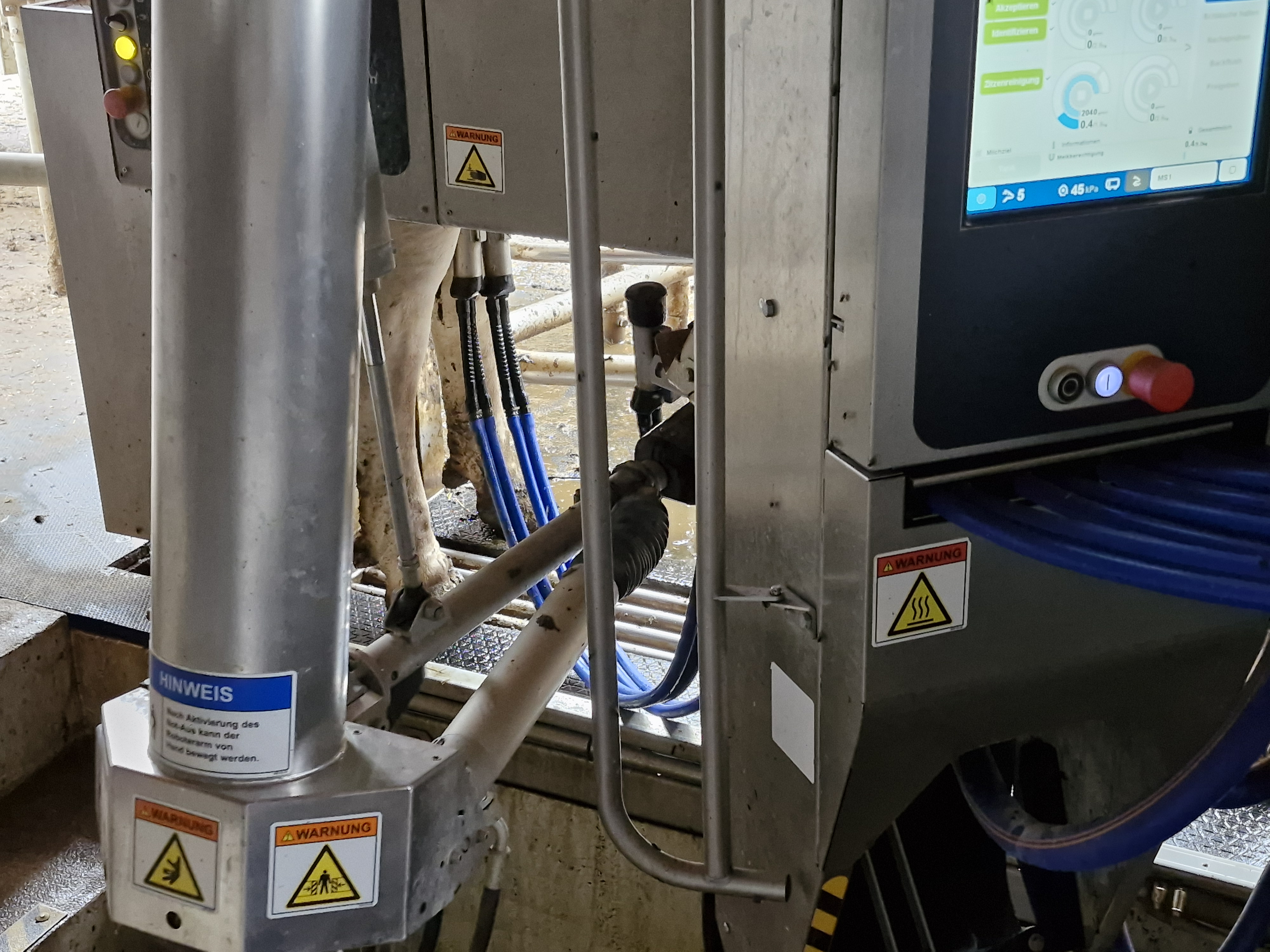 Milking robot attaches the milking equipment