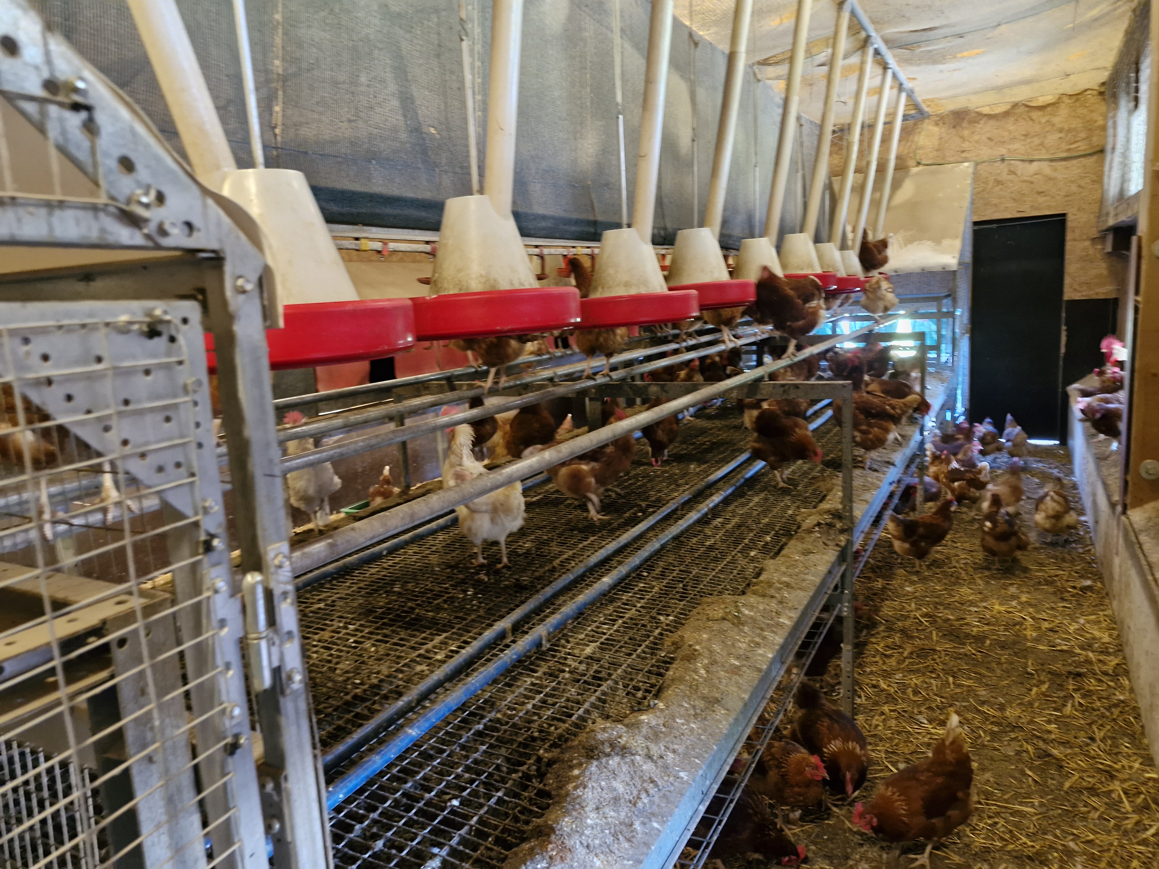 aviary house