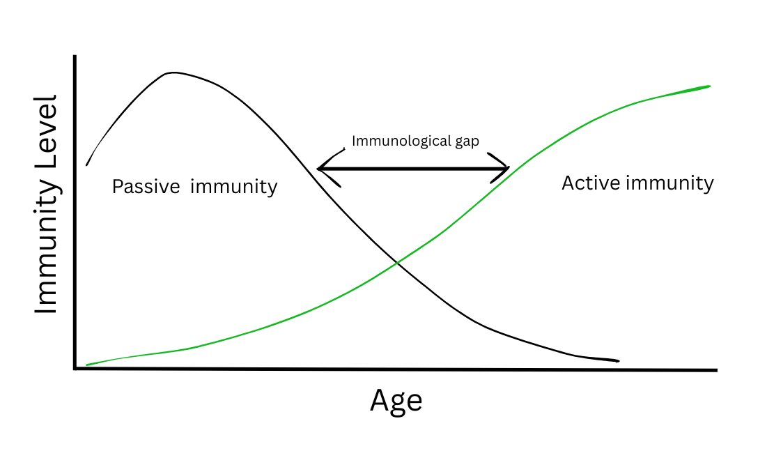 immunological gap