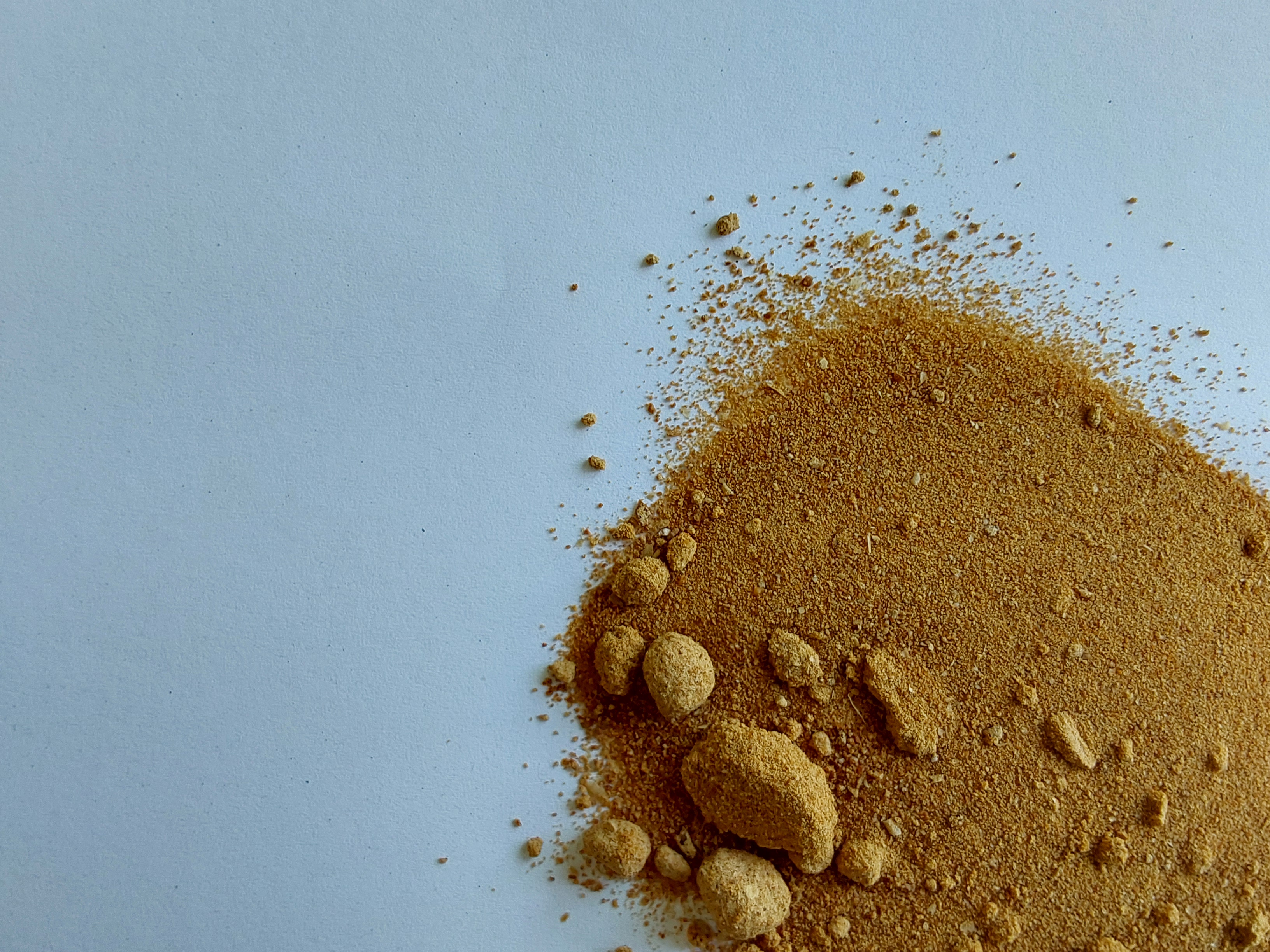Brewer’s yeast