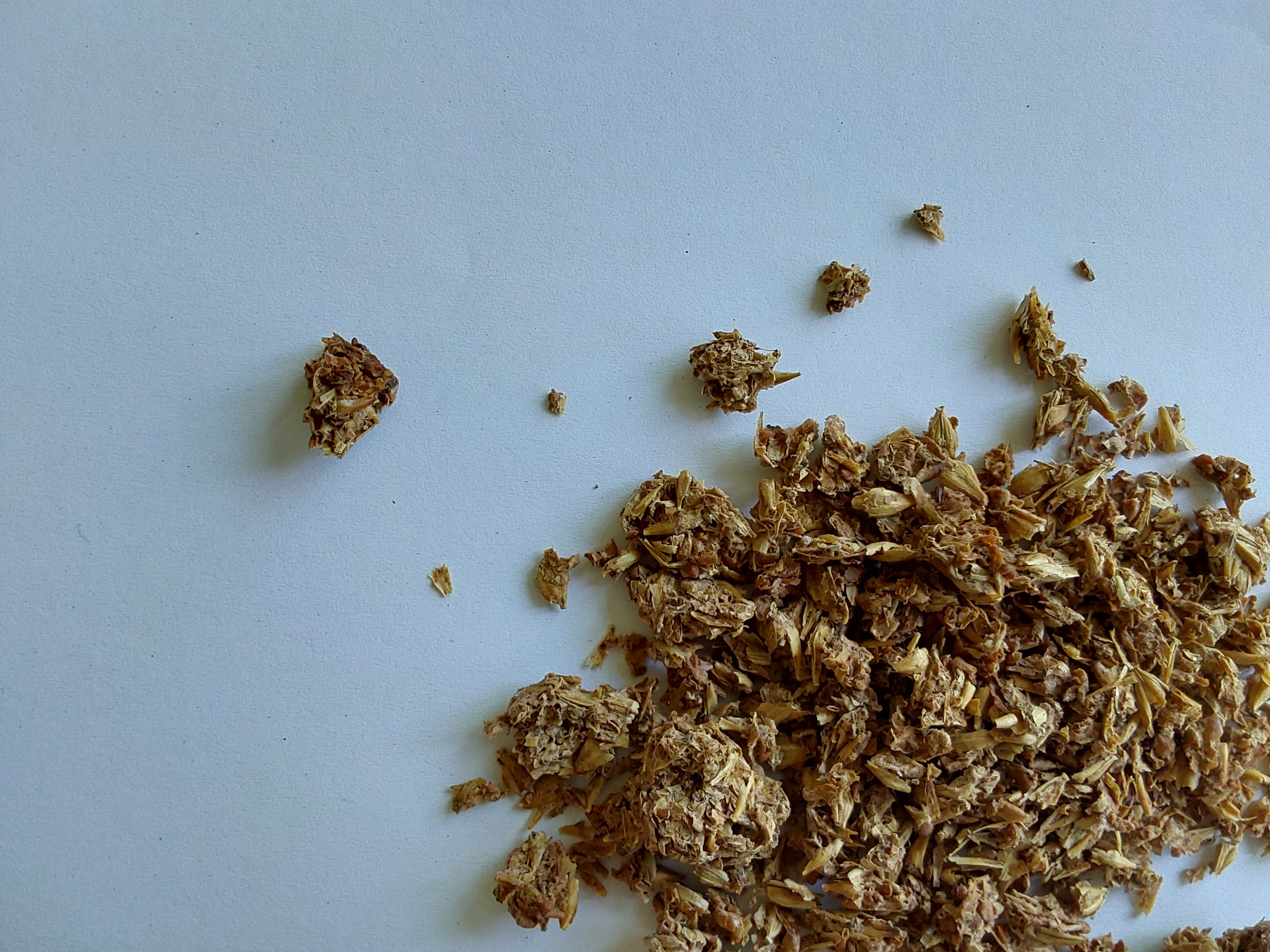 Brewer’s grains