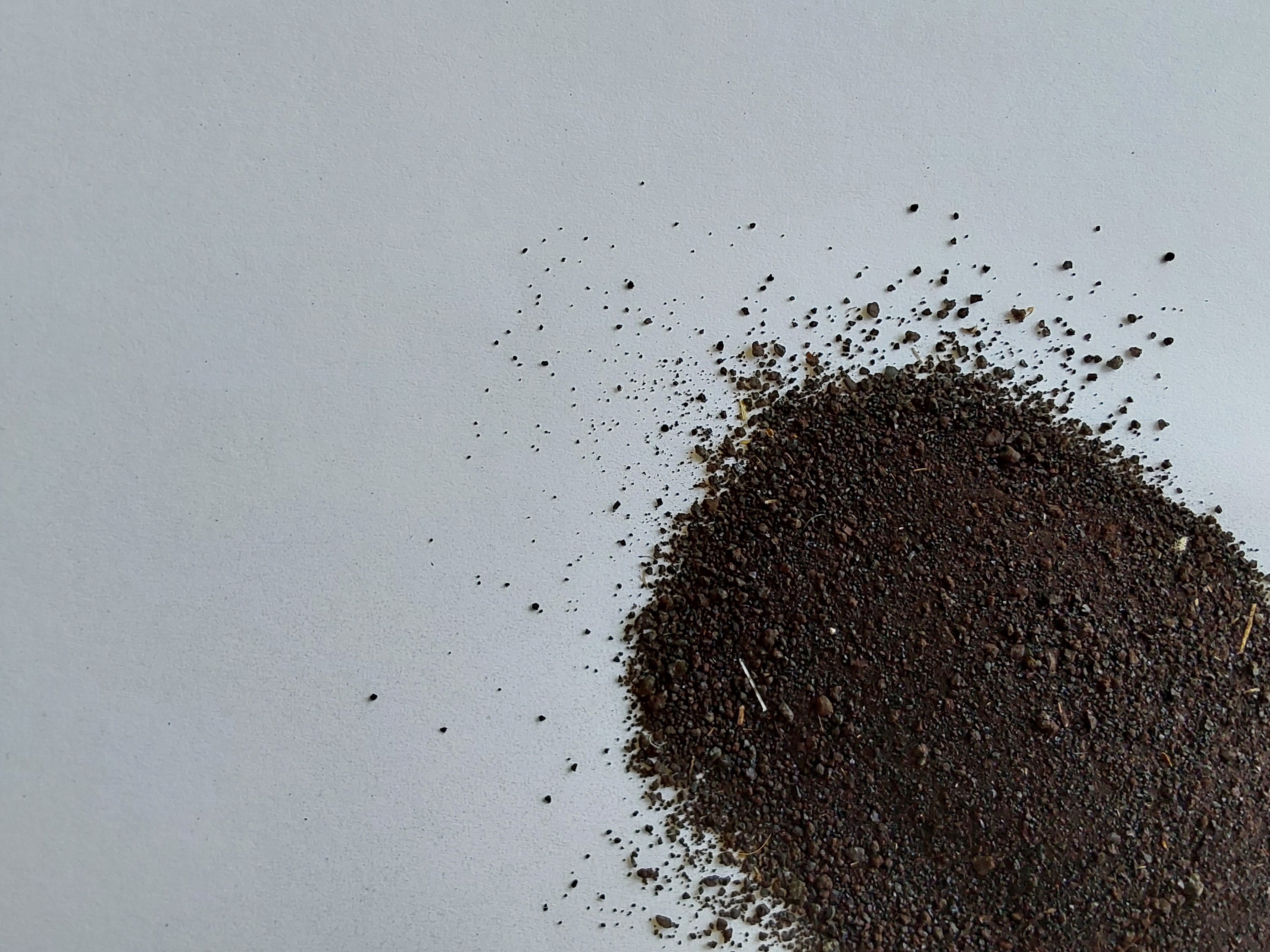 Blood meal