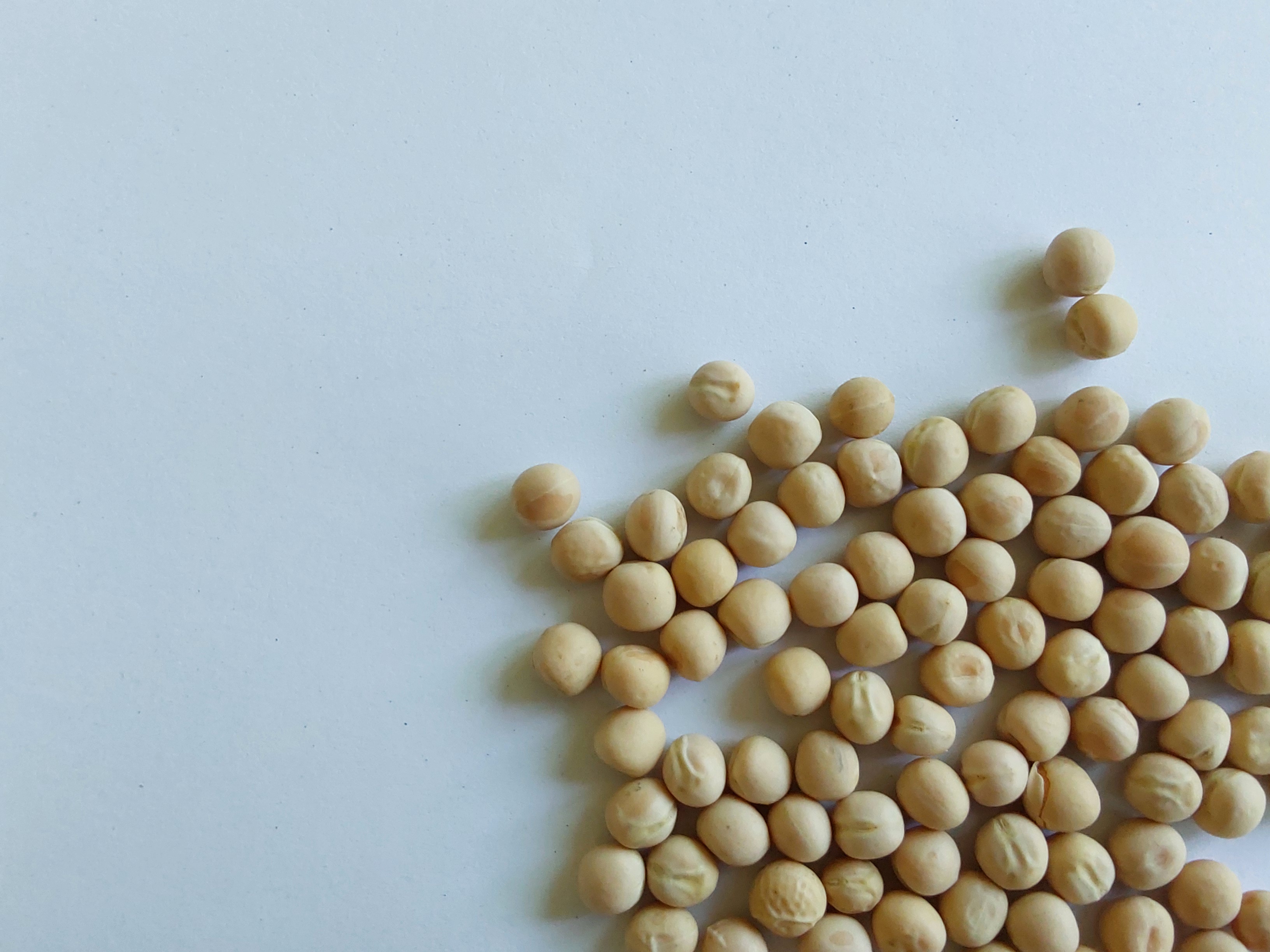 Feed peas