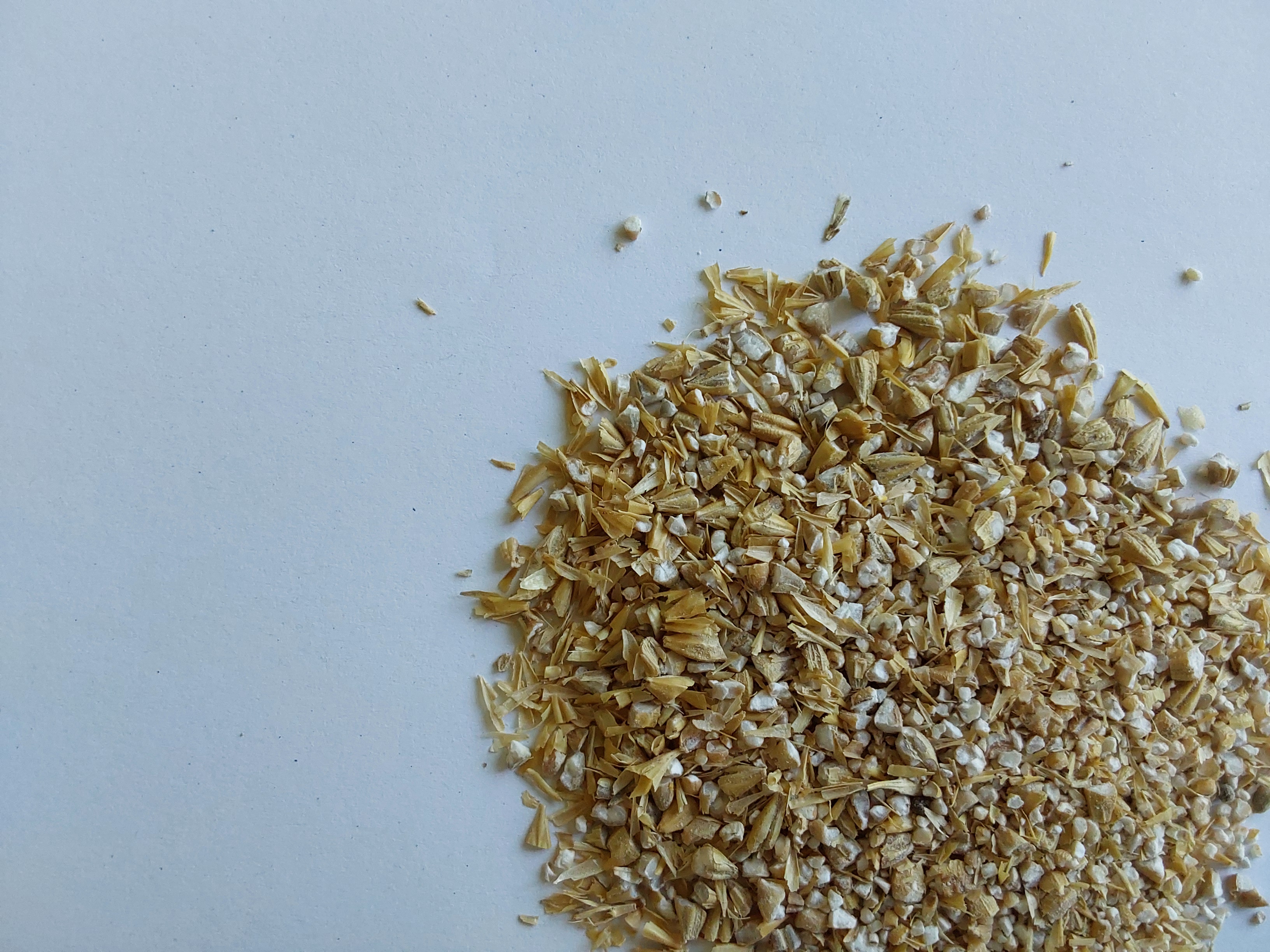 Barley