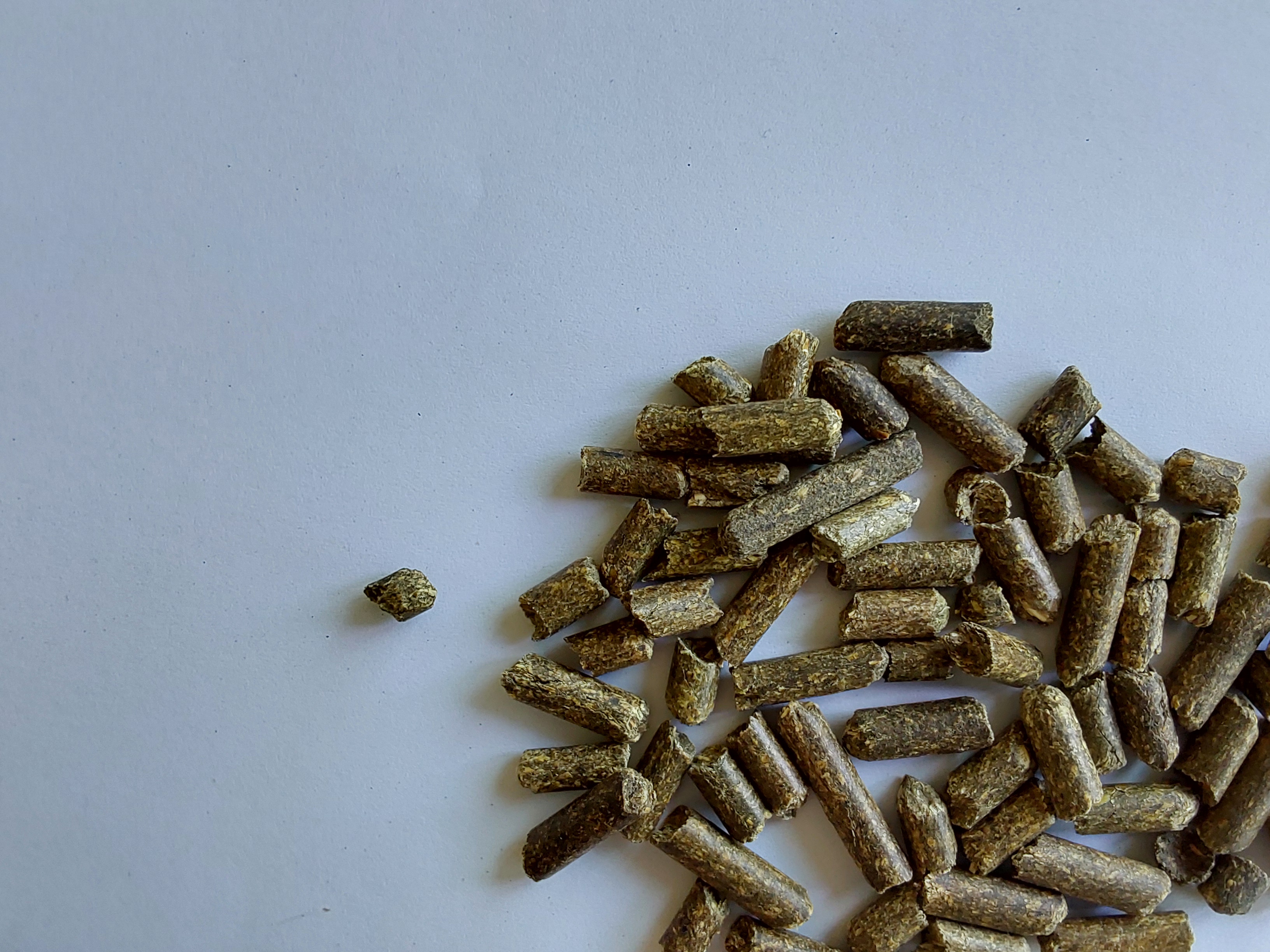Alfalfa green meal pellets