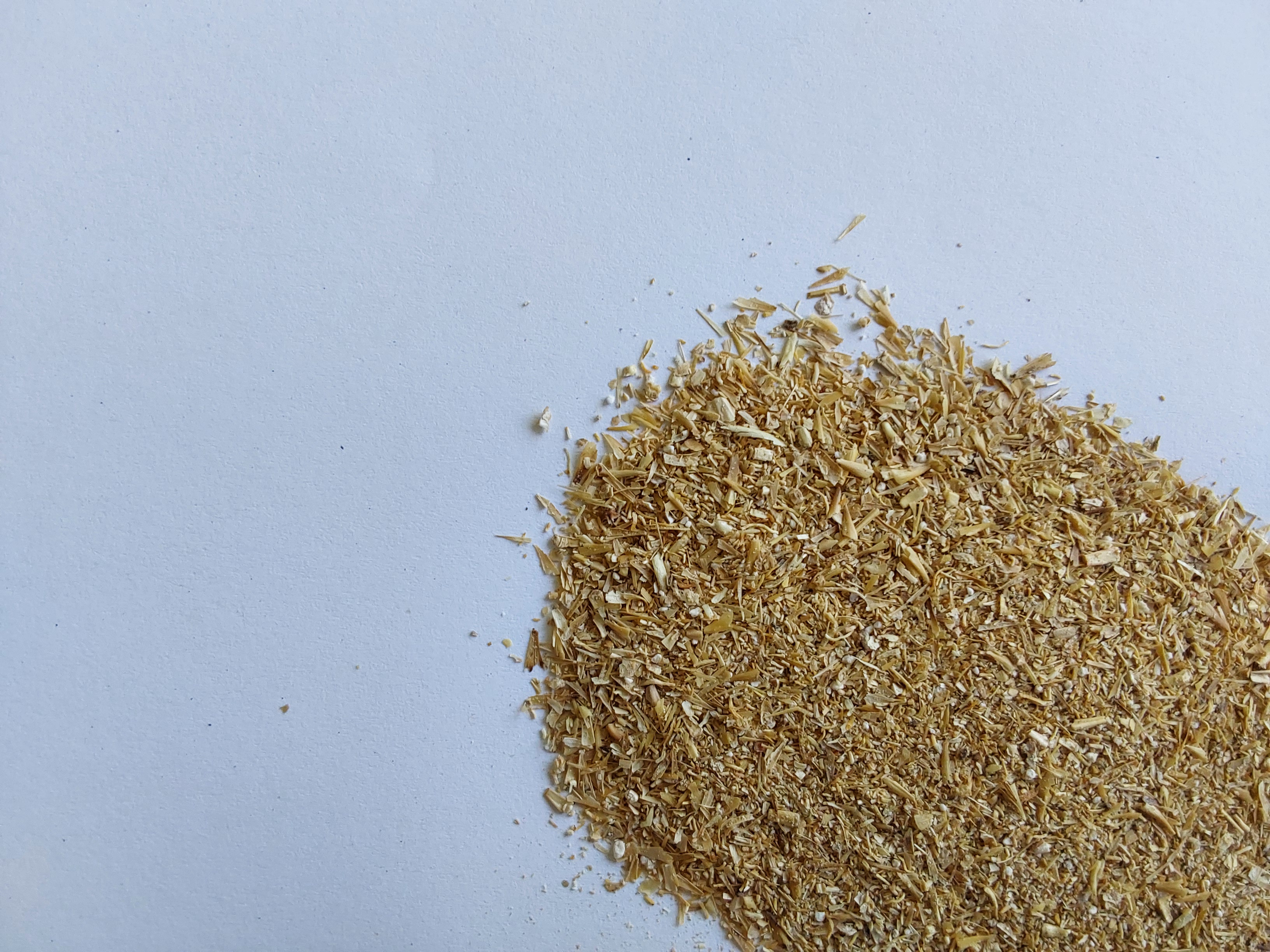 Malt sprouts