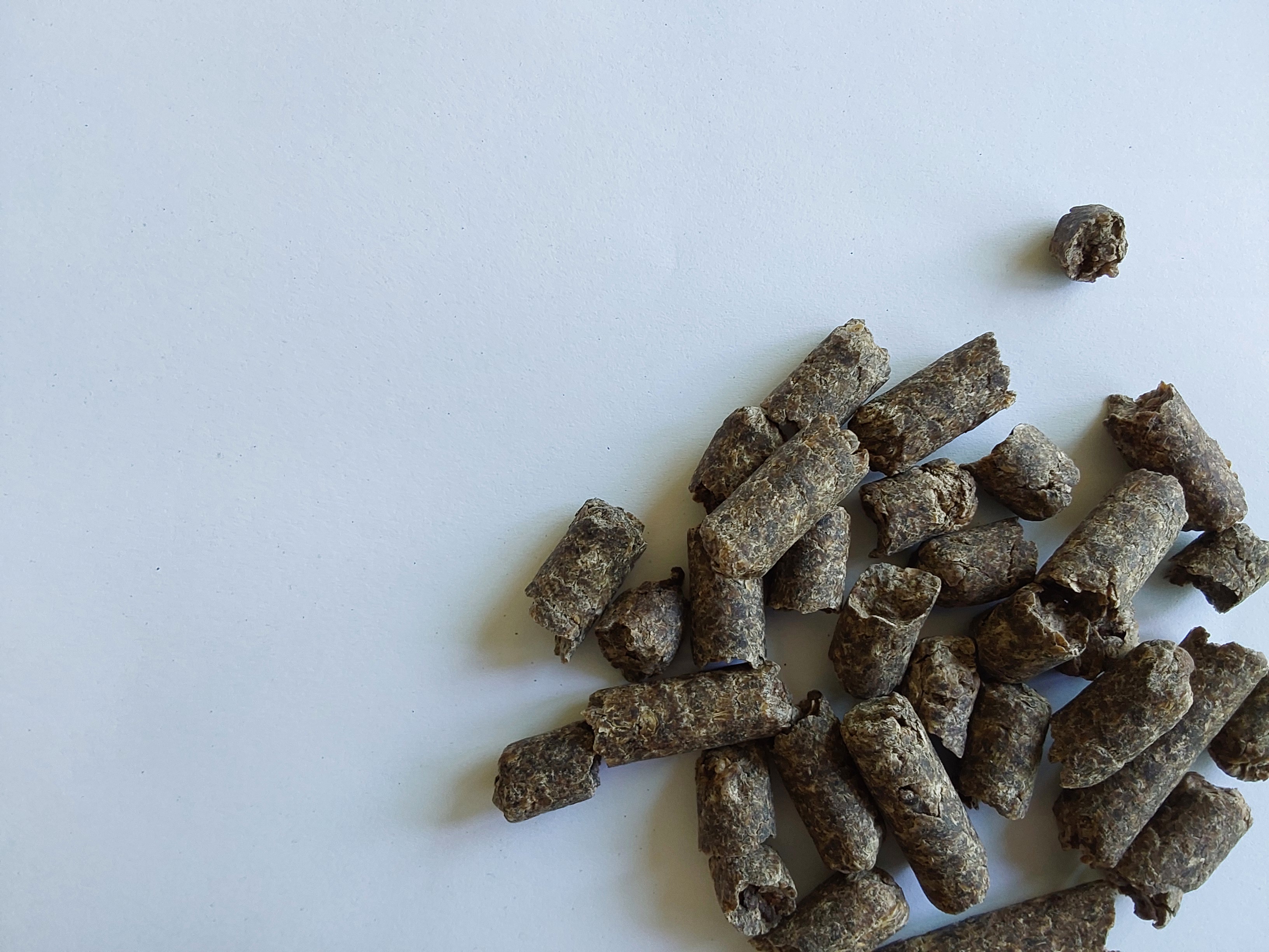 Molasses pulp
