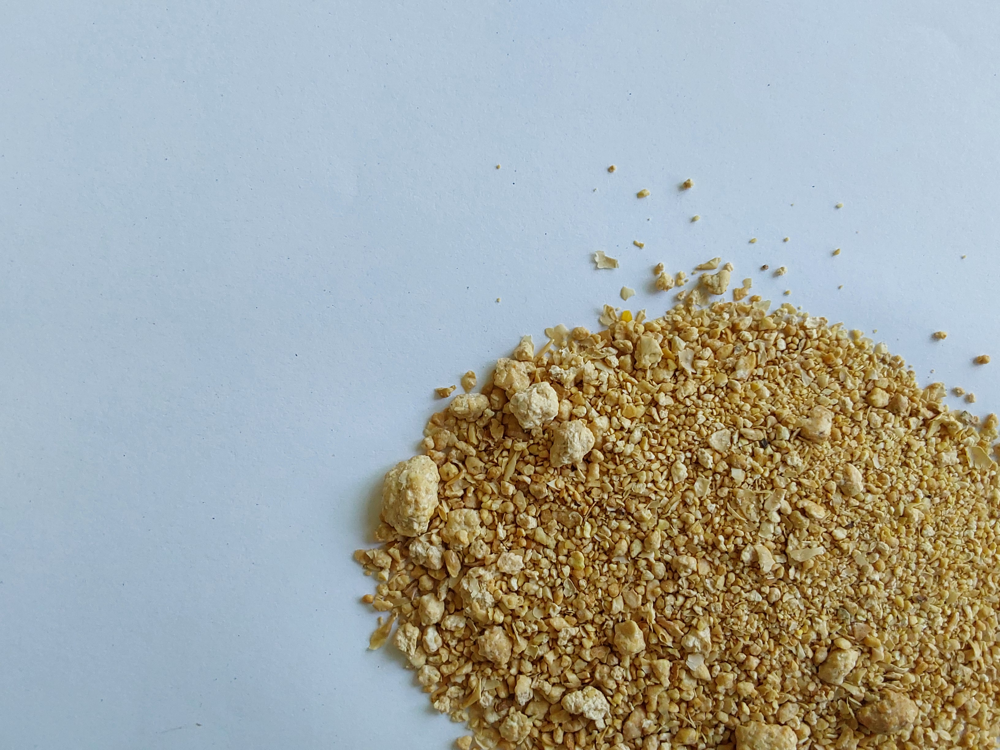 Soya extraction meal HP