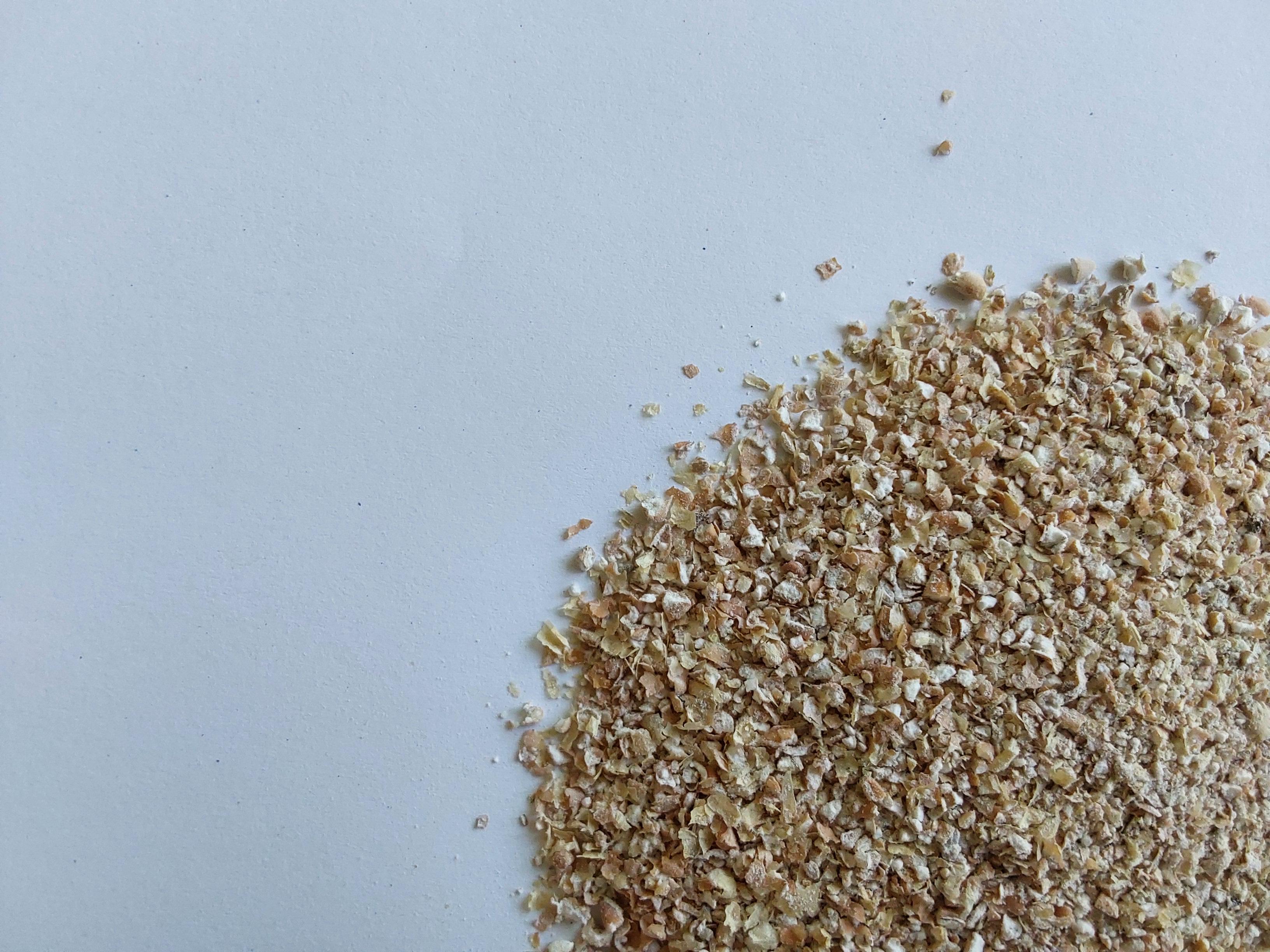 Triticale
