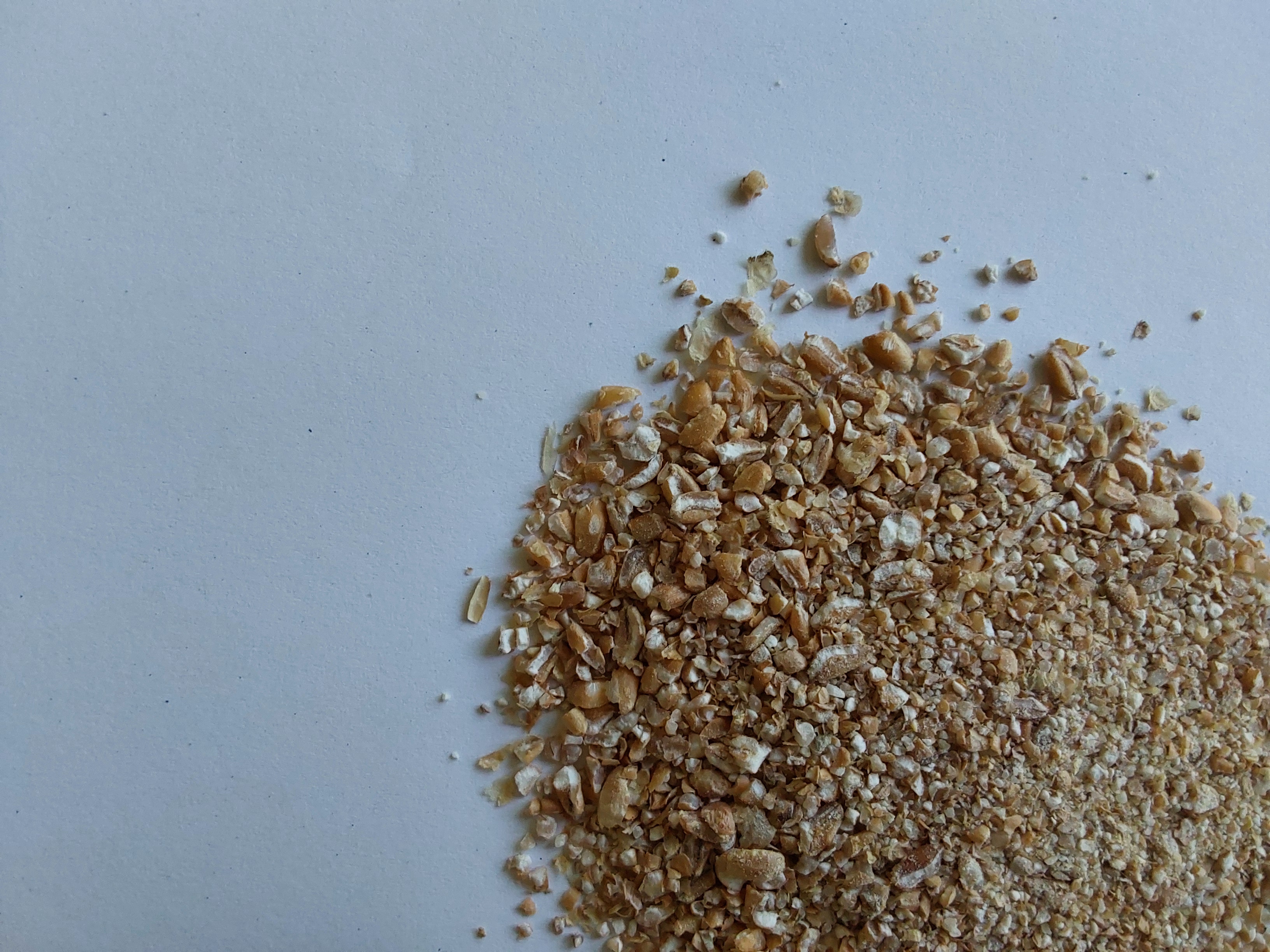 Wheat