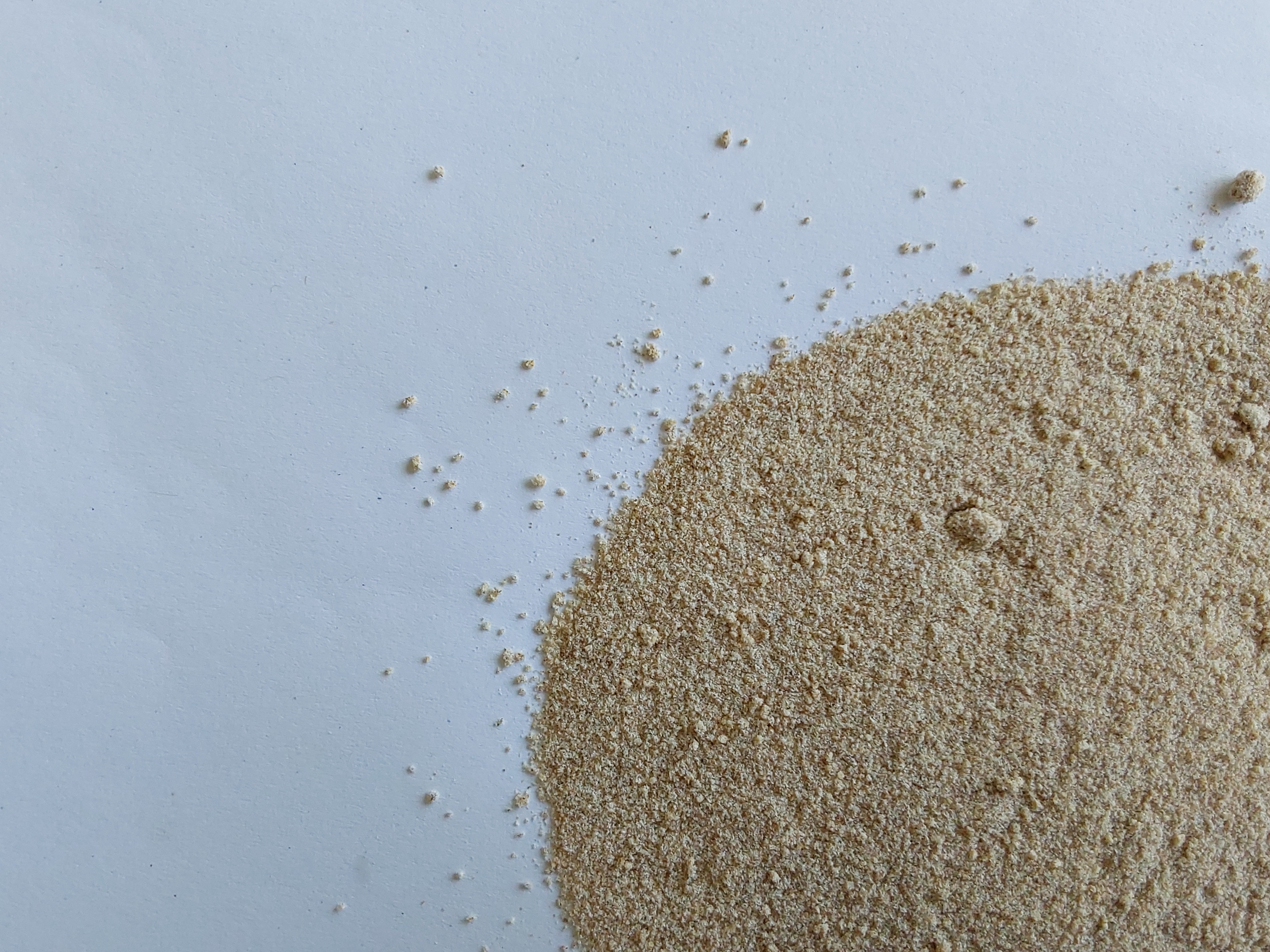 Wheat middlings
