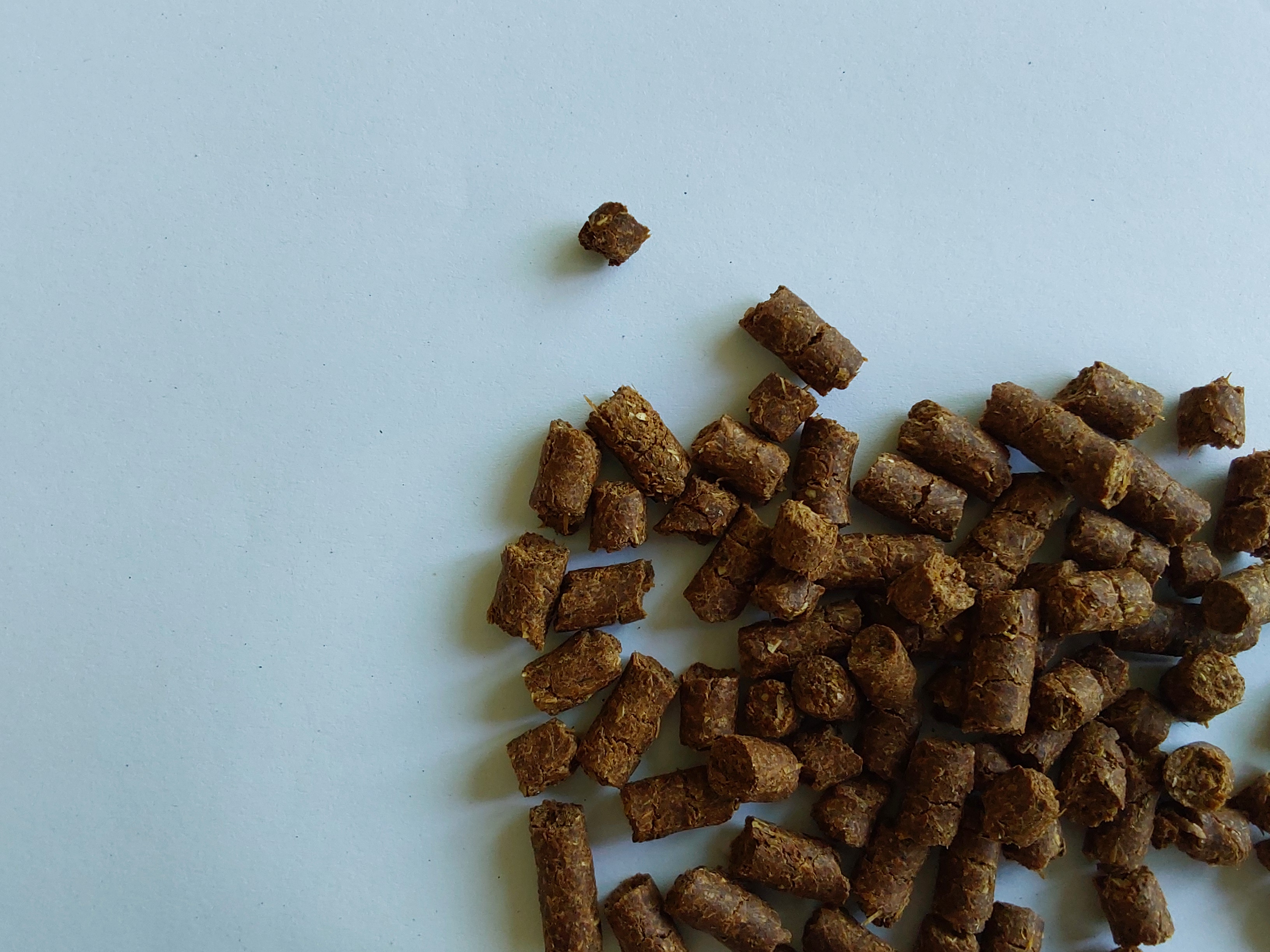 Dried wheat distiller’s grains
