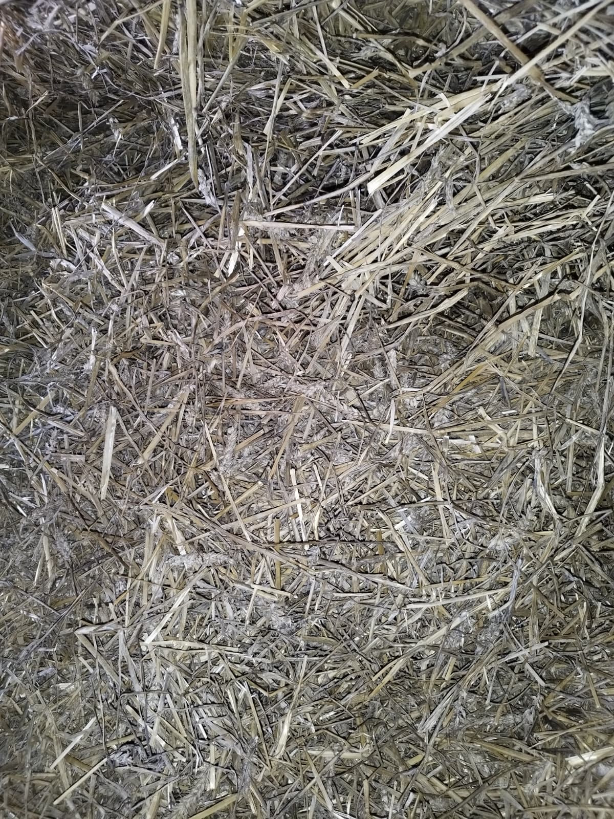 Straw