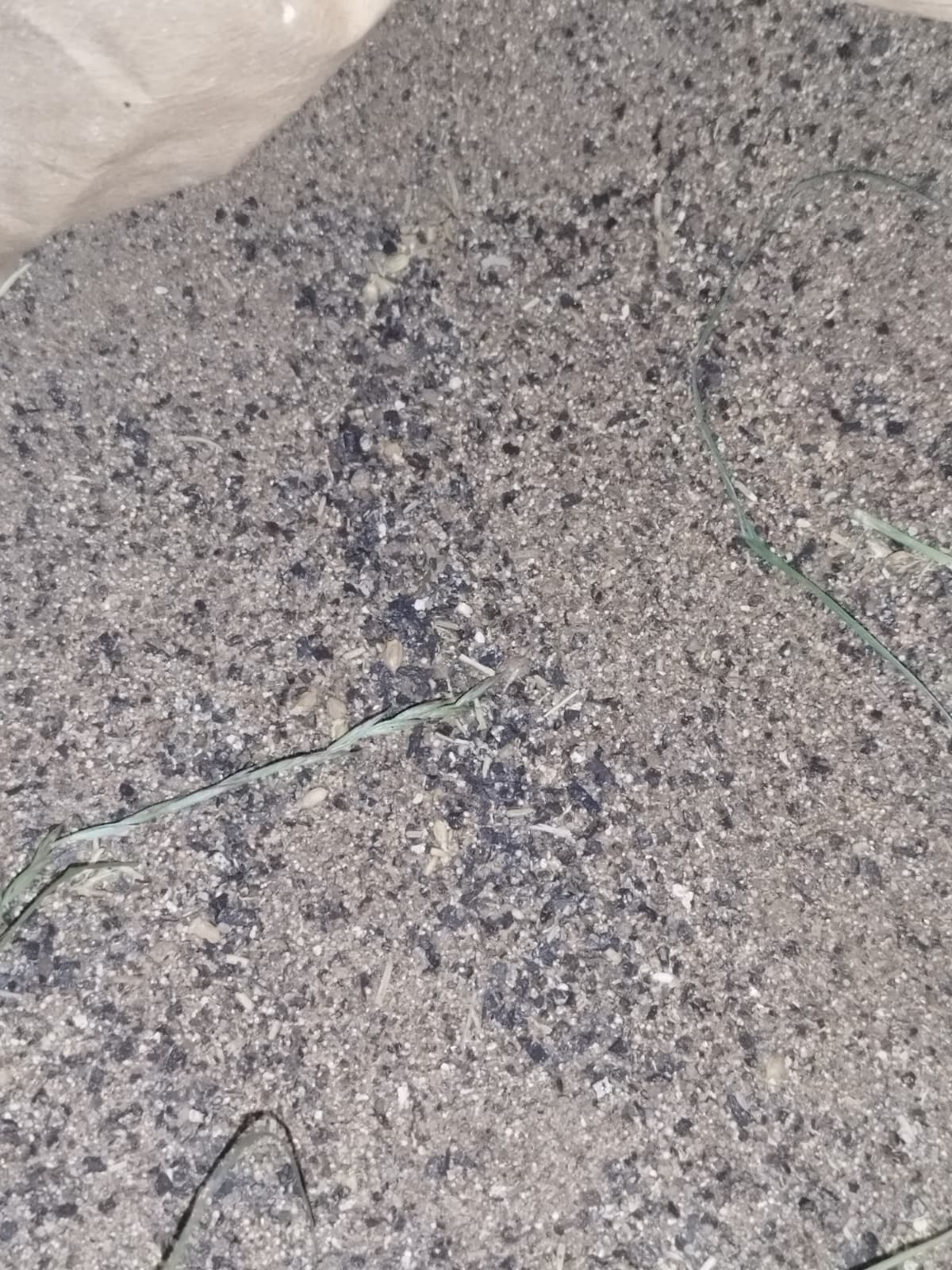 Mineral feed
